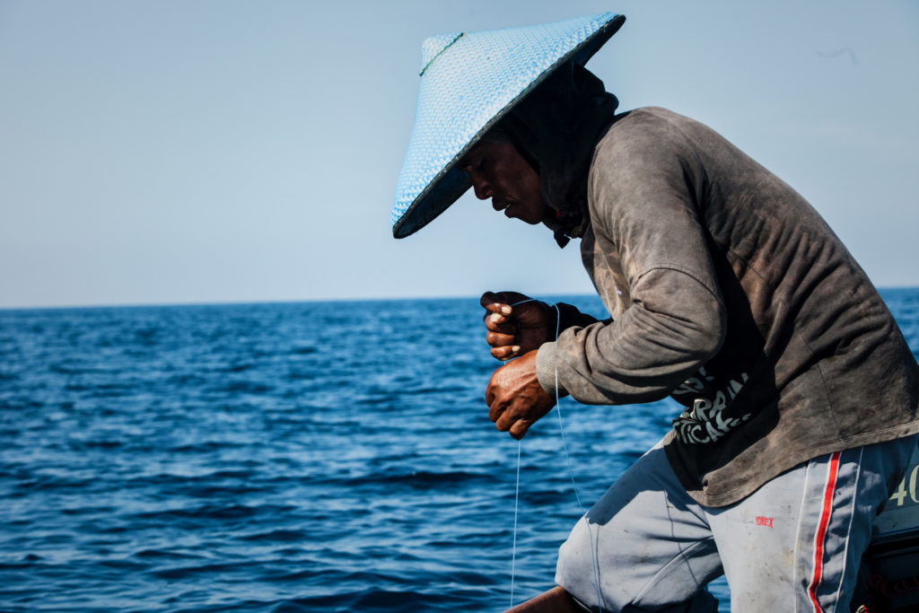 The Indonesian handline fishery – North Sulawesi - Fishing & Living