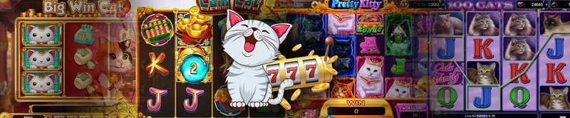Image: CatSpins - Alles über Promotionen, Boni und Bonuscodes in Deutschland